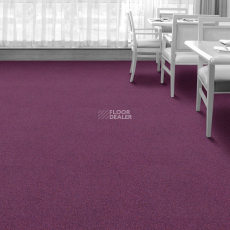 Interface Heuga 727 New 2022 4122297 Plum pd фото 3 | FLOORDEALER